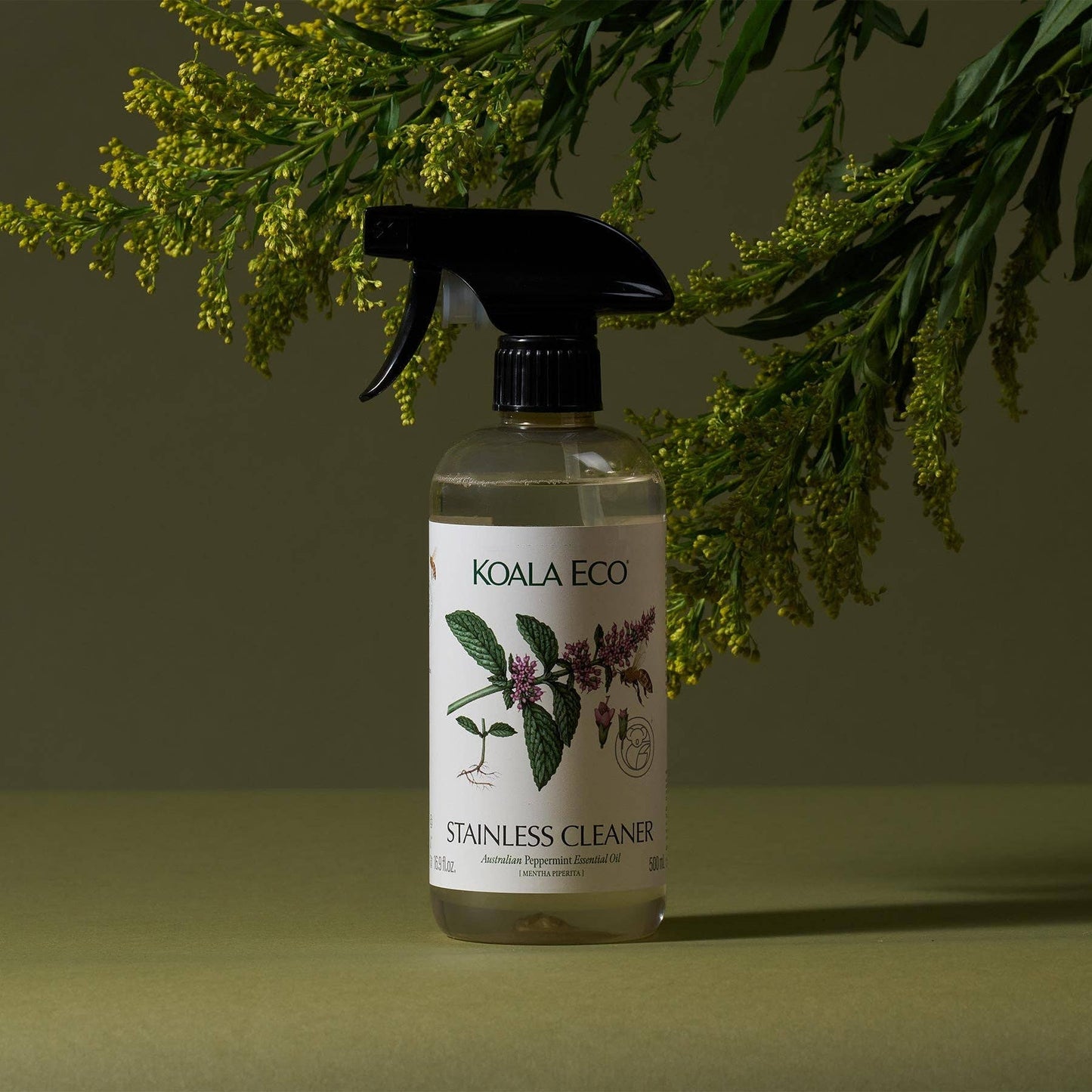 Koala Eco - Peppermint Stainless Steel Cleaner