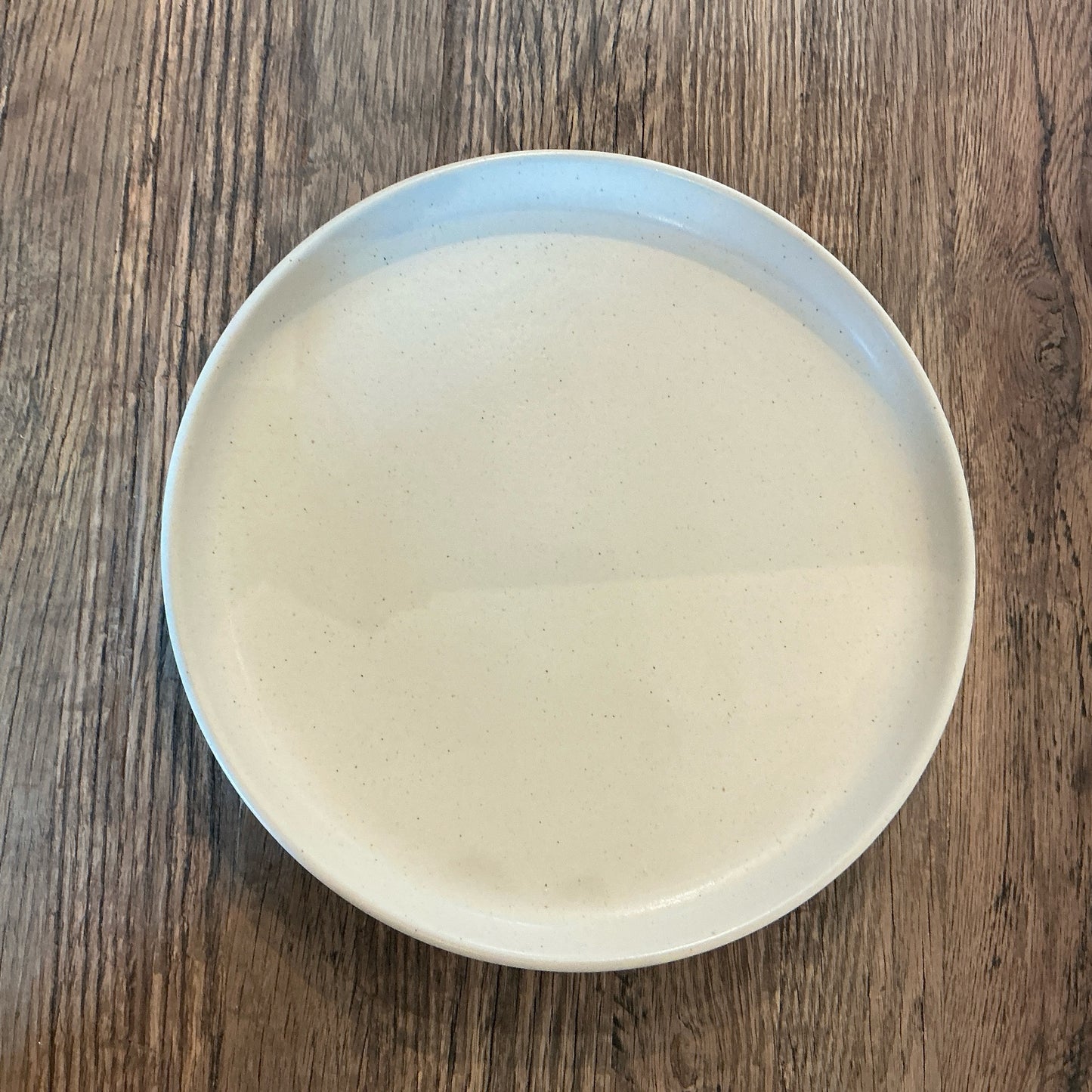 Costa Nova ~ Dinner Plate