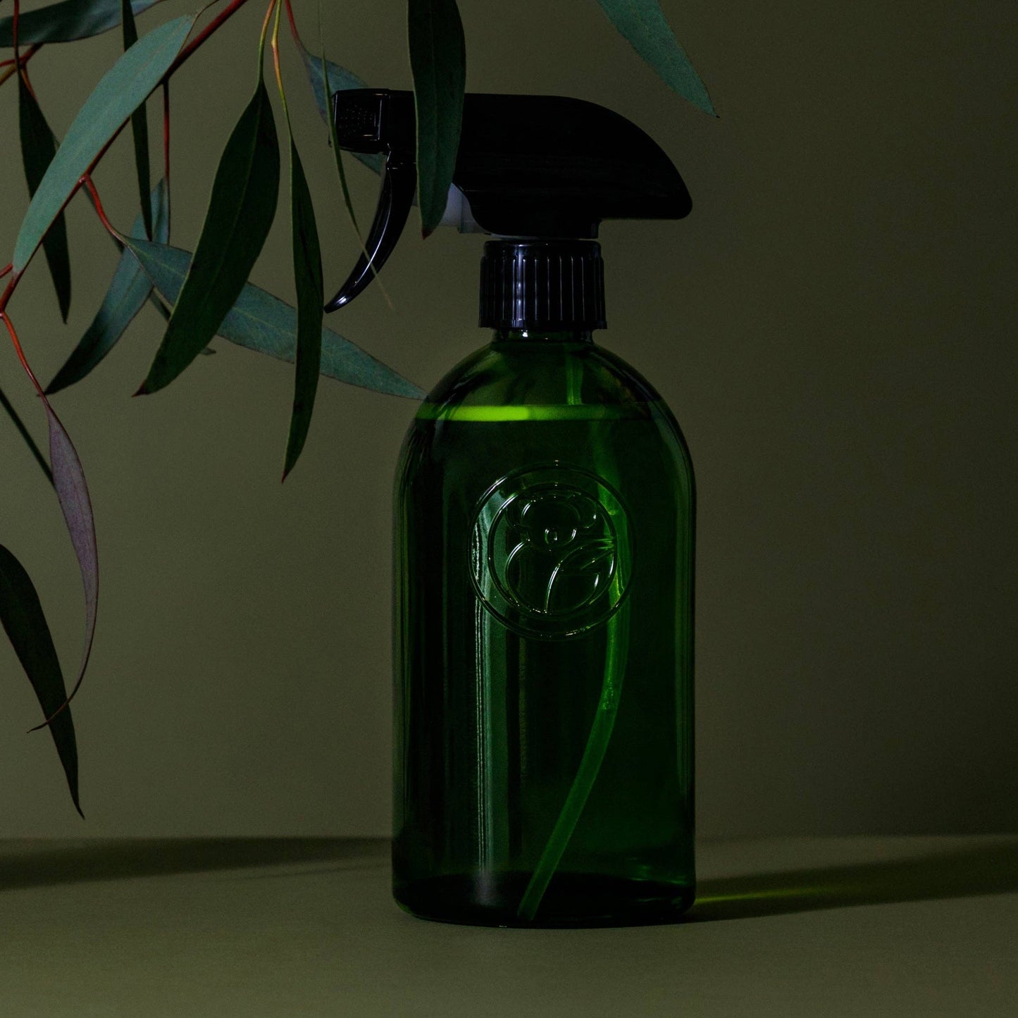 Koala Eco - Apothecary Glass Bottle