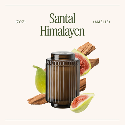 Amélie Santal Himalayen